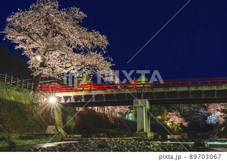 210408中橋夜桜z025 89703067