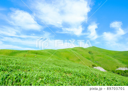 信州ビーナスライン・三峰山トレッキング 89703701