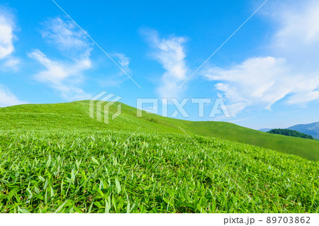 信州ビーナスライン・三峰山トレッキング 89703862