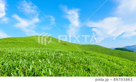 信州ビーナスライン・三峰山トレッキング 89703863