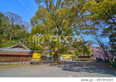 香川県琴平町の金刀比羅宮 桜馬場付近の広場から参道方面を見る 香川県琴平町の金刀比羅宮 桜馬場付近の広場から参道方面を見る 89704364
