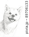 柴犬の頭部デッサン 89706133