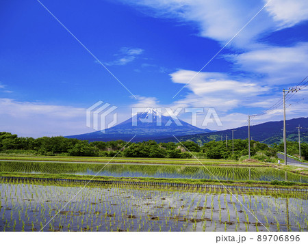 初夏の富士山(田植え) 初夏の富士山(田植え) 89706896