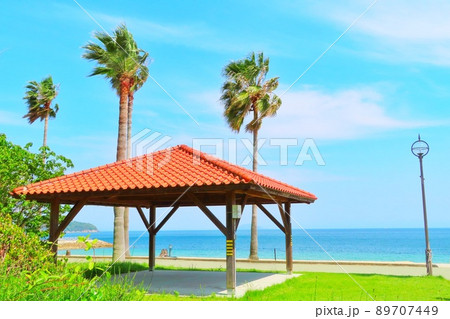 【山口県】ヤシの木と砂浜と海　周防大島 89707449