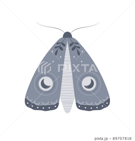 Boho moth. Insect with celestial elements. Witch and magic symbol. Abstract hand drawn vector illustration in bohemian style 89707816