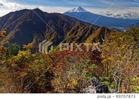 紅葉の本社ヶ丸から見る富士山と三ツ峠 紅葉の本社ヶ丸から見る富士山と三ツ峠 89707873
