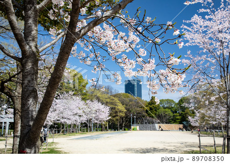 比治山公園の御便殿広場です。桜が満開でお花見の頃です。明るい雰囲気をどうぞ。広島県 比治山公園の御便殿広場です。桜が満開でお花見の頃です。明るい雰囲気をどうぞ。広島県 89708350