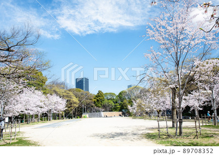 比治山公園の御便殿広場です。桜が満開でお花見の頃です。明るい雰囲気をどうぞ。広島県 比治山公園の御便殿広場です。桜が満開でお花見の頃です。明るい雰囲気をどうぞ。広島県 89708352