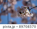 嬉しい季節 89708370