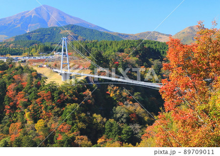 秋の九重夢大吊橋（大分県九重町） 89709011