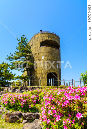 冷水岳公園展望台とツツジ　【長崎県佐世保市】 89709493