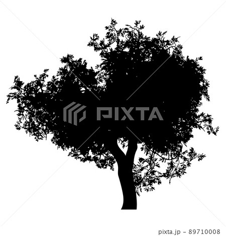Silhouette of tree with leaves Silhouette of tree with leaves 89710008