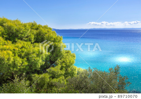 Greece turquoise sea water bay and pine tree, Sithonia 89710070