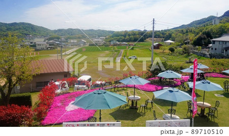 芝桜富士からの街並み5【香川県東かがわ市】 89710510