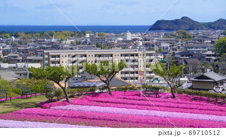 芝桜富士からの街並み4【香川県東かがわ市】 89710512
