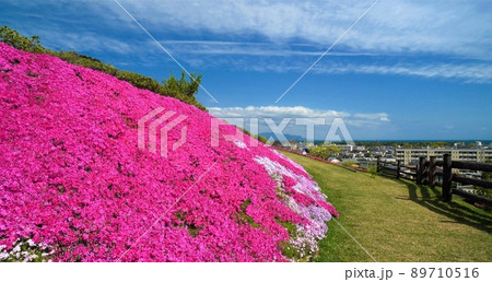 芝桜富士からの街並み①【香川県東かがわ市】 89710516