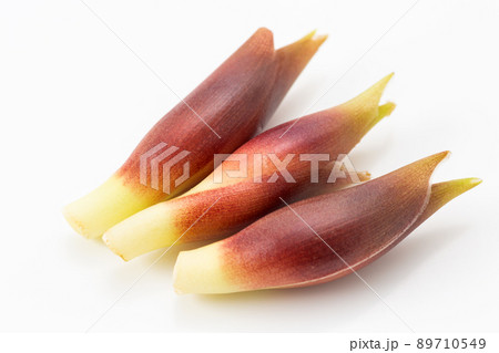 ミョウガ ミョウガ 89710549