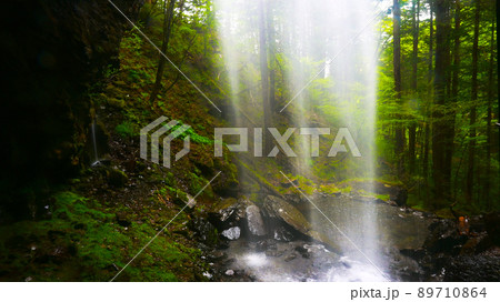 滝の裏側から見れる神秘的な新滝 89710864