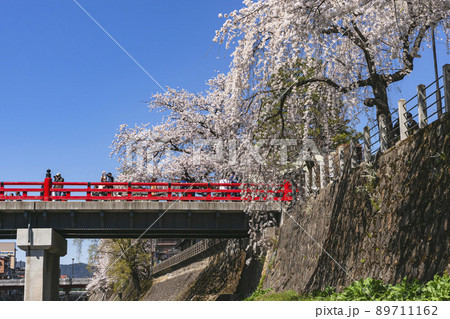 210410中橋桜z551 210410中橋桜z551 89711162