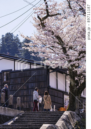 210410中橋桜g050 210410中橋桜g050 89711187