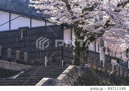 210410中橋桜g038 89711188