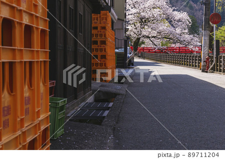 210409中橋桜g238 89711204