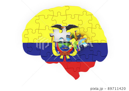 Ecuadorian flag painted on the brain from puzzles. Scientific research and education in Ecuador concept, 3D rendering Ecuadorian flag painted on the brain from puzzles. Scientific research and education in Ecuador concept, 3D rendering 89711420