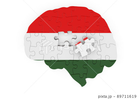 Hungarian flag painted on the brain from puzzles. Scientific research and education in Hungary concept, 3D rendering Hungarian flag painted on the brain from puzzles. Scientific research and education in Hungary concept, 3D rendering 89711619