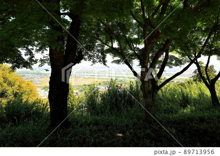 南濃散策・臥龍山行基寺・177(岐阜県海津市南濃町) 南濃散策・臥龍山行基寺・177(岐阜県海津市南濃町) 89713956