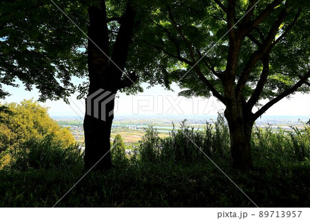南濃散策・臥龍山行基寺・176（岐阜県海津市南濃町） 89713957