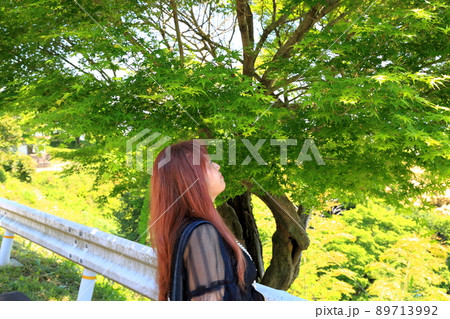 南濃散策・臥龍山行基寺・141（岐阜県海津市南濃町） 89713992