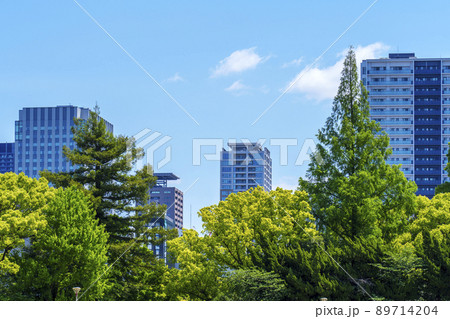 晴天の靱公園 新緑の季節(2022年5月) 晴天の靱公園 新緑の季節(2022年5月) 89714204