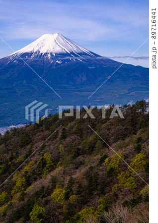 (山梨県)雪化粧した春の富士山・三ッ峠より (山梨県)雪化粧した春の富士山・三ッ峠より 89716441