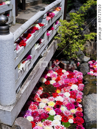 石の橋に飾られた綺麗な花々 石の橋に飾られた綺麗な花々 89717010