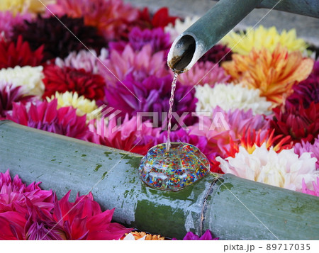 手水場に埋め尽くされた綺麗な花の写真 89717035