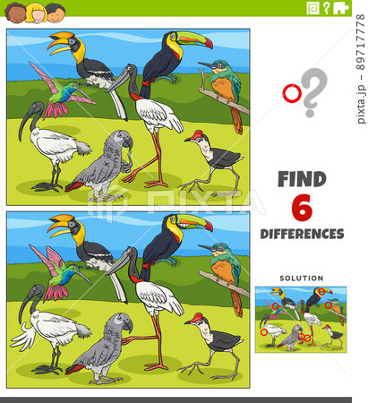 differences educational game with cartoon birds characters differences educational game with cartoon birds characters 89717778