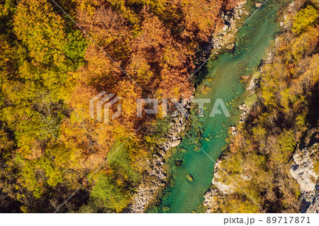 Mountain river Tara and forest in Montenegro. Travel around Montenegro concept 89717871