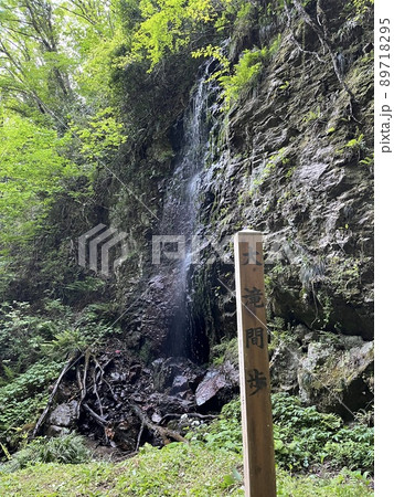 佐渡の滝 89718295