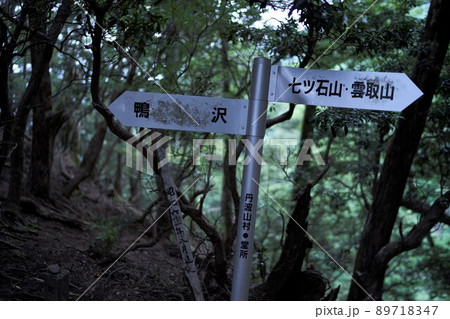 奥多摩、雲取山の登山風景 奥多摩、雲取山の登山風景 89718347