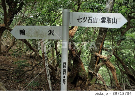 奥多摩、雲取山の登山風景 奥多摩、雲取山の登山風景 89718784