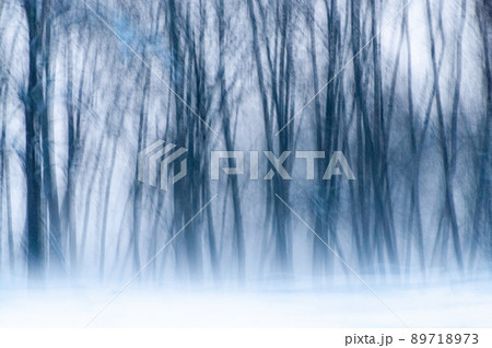 Misty Winter evening in yostemite valley Misty Winter evening in yostemite valley 89718973
