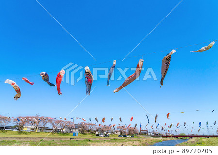 相川水辺公園、満開の桜とこいのぼり〈岐阜県不破郡〉 89720205
