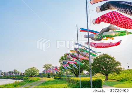 境川緑道公園、大空泳ぐこいのぼり〈岐阜県岐阜市〉 89720409