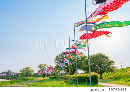 境川緑道公園、大空泳ぐこいのぼり〈岐阜県岐阜市〉 境川緑道公園、大空泳ぐこいのぼり〈岐阜県岐阜市〉 89720443