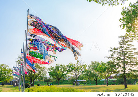 境川緑道公園、大空泳ぐこいのぼり〈岐阜県岐阜市〉 89720445
