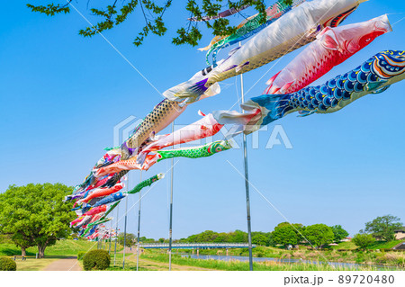 境川緑道公園、大空泳ぐこいのぼり〈岐阜県岐阜市〉 89720480