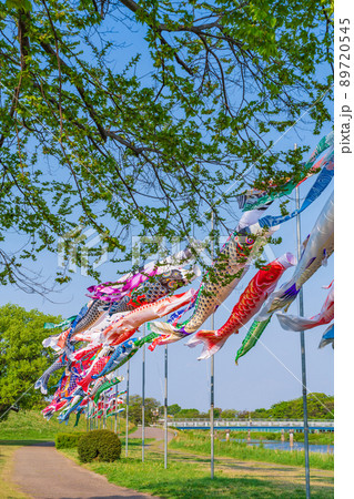 境川緑道公園、大空泳ぐこいのぼり〈岐阜県岐阜市〉 境川緑道公園、大空泳ぐこいのぼり〈岐阜県岐阜市〉 89720545