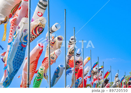 境川緑道公園、大空泳ぐこいのぼり〈岐阜県岐阜市〉 89720550