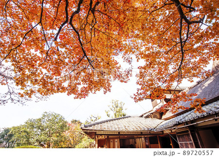 京都詩仙堂　京都の紅葉名所　詩仙堂丈山寺　もみじと日本庭園　京都観光スポット 89720557