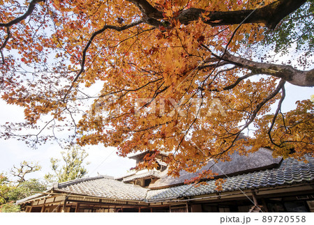 京都詩仙堂　京都の紅葉名所　詩仙堂丈山寺　もみじと日本庭園　京都観光スポット 89720558